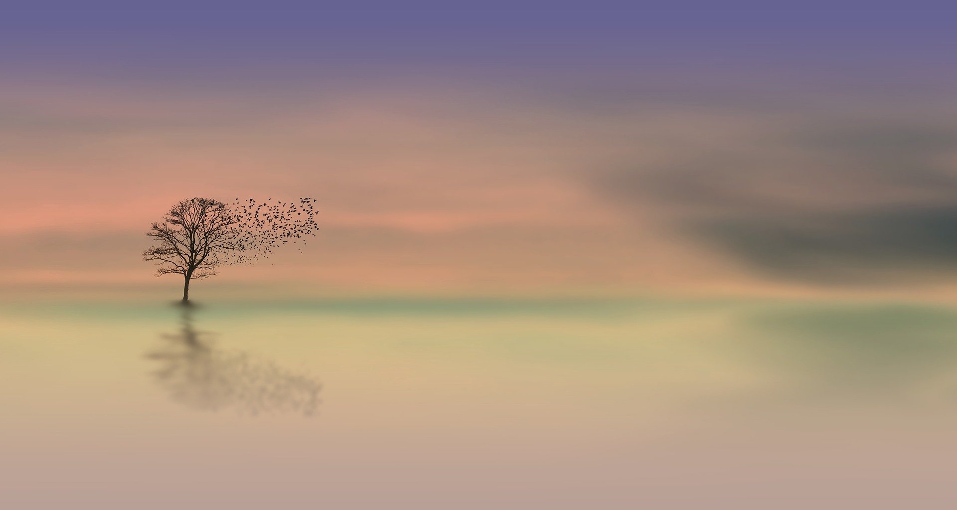 dawn-3358468_1920